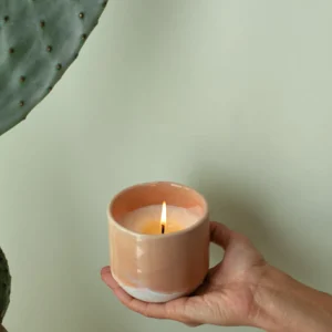 Motel a Miio Duftkerzen^Coimbra - Scented Candle “Mediterranean Breeze” apricot
