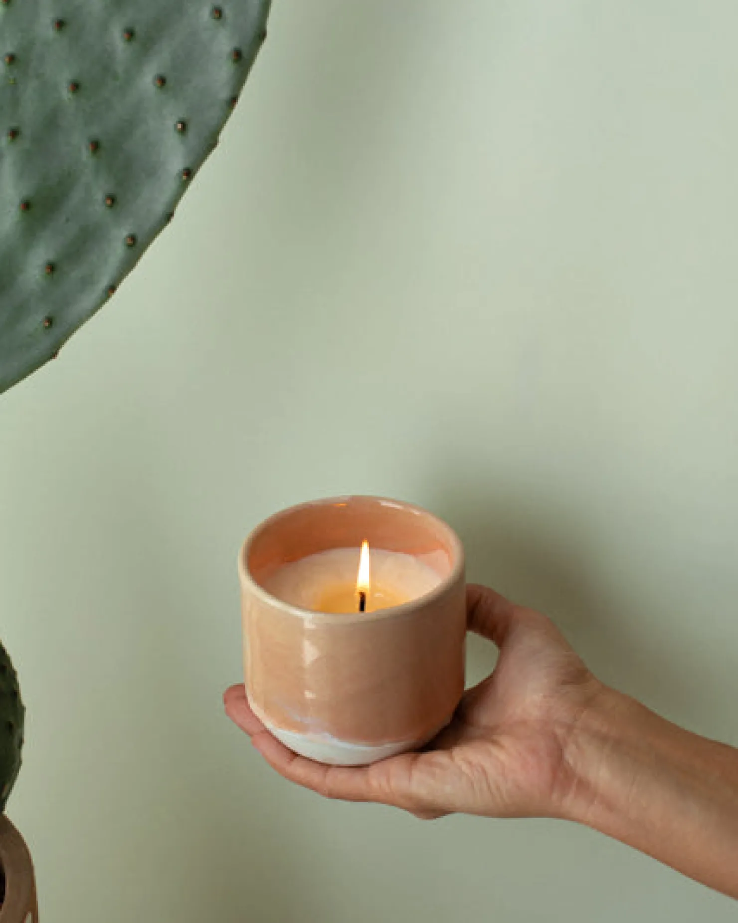 Motel a Miio Duftkerzen^Coimbra - Scented Candle “Mediterranean Breeze” apricot